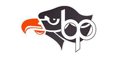 Bethel Park SD Logo